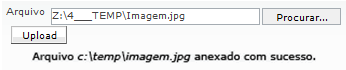Script de Atendimento_Fig 24_F