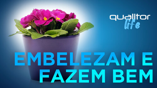 Qualitor-Life