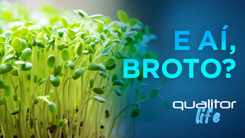 Qualitor-Life-4